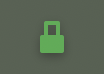 Green padlock, indicating app is connected to VPN.