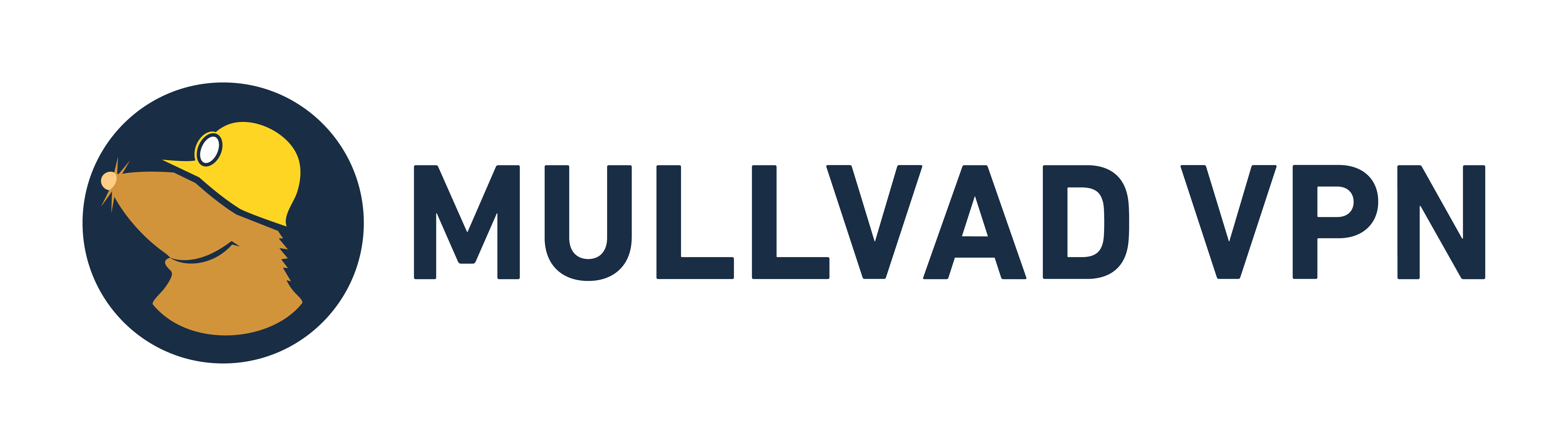 Mullvad VPN Logo Color positive