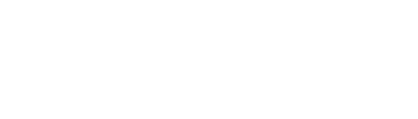 Mullvad VPN Wordmark negative